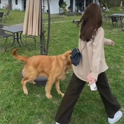 他在窥视你