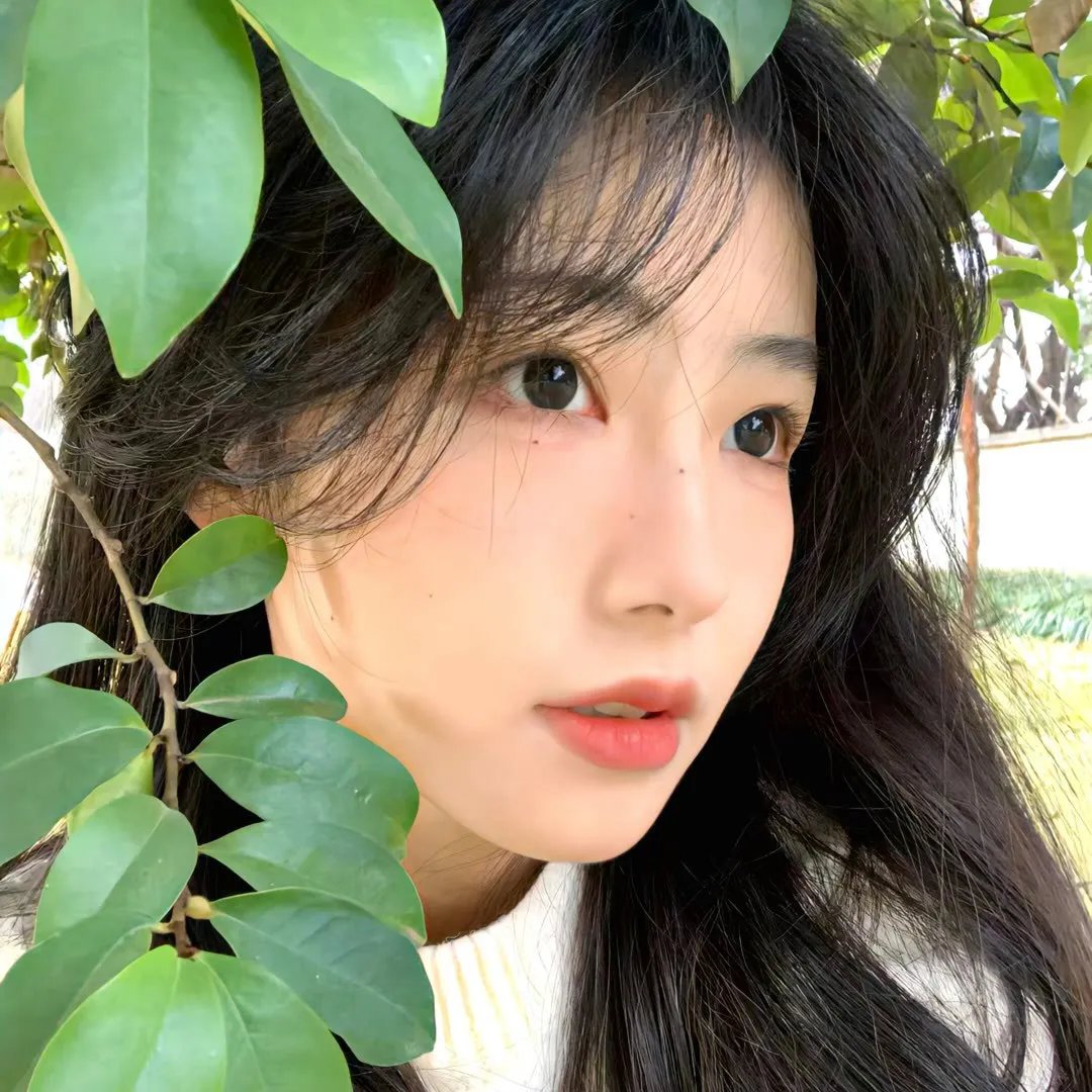 我为车狂